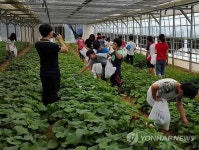 화천 산촌생태마을 평균 1억5천만원 소득 쏠쏠