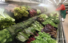 도매시장·대형마트 채소 잔류농약 검출…기준 59배까지