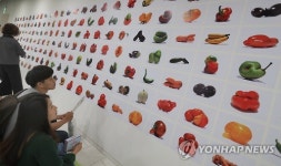 못난이 농산물 재조명 전시회