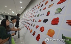 못난이 농산물 재조명 전시회
