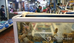 날벼락 맞은 어시장