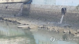 오염된 여수 연등천
