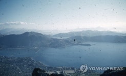 부산 영도 봉래산에서 바라본 남부민동
