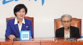 추미애, 정대협 면담