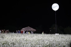 달빛과 어우러진 새 하얀 메밀꽃