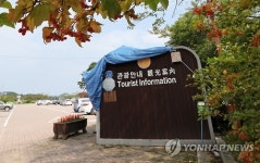 비가 새 비닐 덮어 놓은 강릉관광안내소