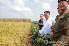 북한 김정은, 군부대 산하 농장 시찰