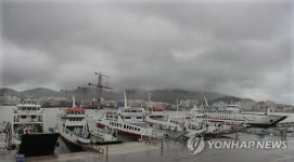 하늘길 막히고, 뱃길 끊기고, 축제 취소되고