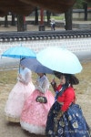 우산 쓰고 경기전 관광