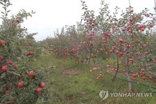 고산과수종합농장