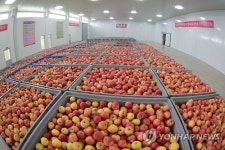 고산과수종합농장