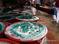 거제시내 수산물 판매시장