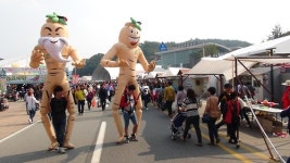 제36회 금산인삼축제 개막…10일간 일정 돌입