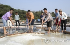 안산 대부도 찾은 아세안 관광정책 대표단