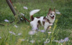 여기서 가을 냄새가 나요