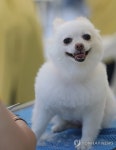 '나 이발했다'