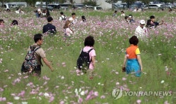 낙동강변 가을 여행