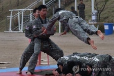 1군단 호국문예행사 태권도 시범
