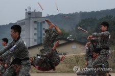 1군단 호국문예행사 태권도 시범