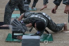 1군단 호국문예행사 태권도 시범