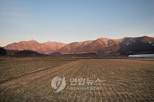 환경단체 백두대간 등산로 리본 공해로 몸살
