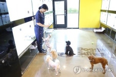 해운대 애견동반 전용 호텔 개관