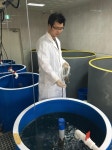 사료 통해 예방접종…양식어류에 먹이는 백신 개발