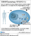 주식회사 오토파지코리아 | '오토파지'(autophagy·자가포식) 현상
