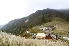 억새와 산상 음악회 울주오디세