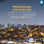 <카드뉴스> 멧돼지의 반란, 유기견의 역습