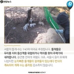 <카드뉴스> 멧돼지의 반란, 유기견의 역습