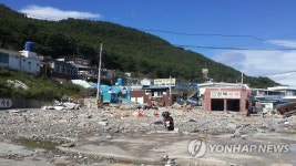 <태풍 차바> 강풍에 초토화된 태종대 자갈마당