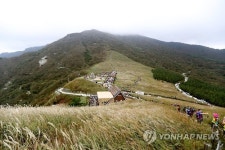 <길따라 멋따라> 은빛 물결 넘실…영남알프스 억새밭