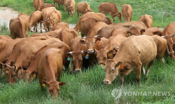 경기도, 용인에 가축개량 전담 축산진흥센터 개소