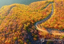 가을 발왕산 그리고 단풍 연가
