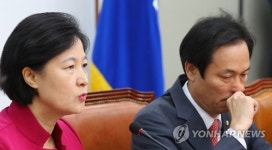 추미애 검찰 개혁 발언