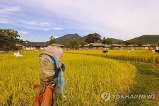 허수아비도 눈 번쩍… 가을의 한중간 아산 외암마을