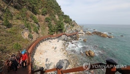 동해 탄생의 비밀…강릉 해안단구 탐방로 개통