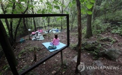 숲 속 자연명상