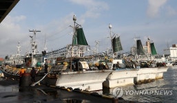 오징어 성어기인데 썰렁한 강릉 주문진항