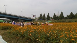 파주시, 금릉역 인근 공릉천에 휴식공간 조성