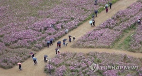 가을동화