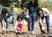 볕 좋은 가을날, 오색보리 심는 어린이들