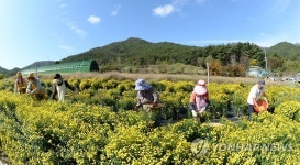 바구니에 담긴 가을향기