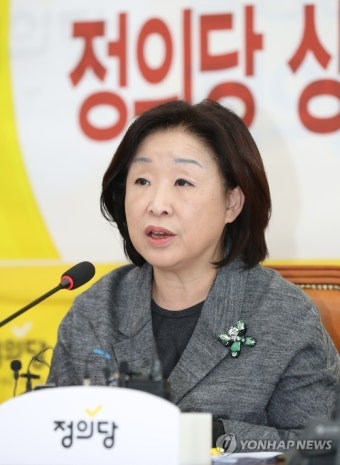 최순실 의혹 관련 비난하는 심상정 대표