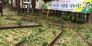 도시농민과 소외된 이웃 소통하는 텃밭