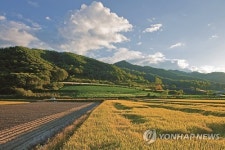춘천 '고탄리 산골마을'