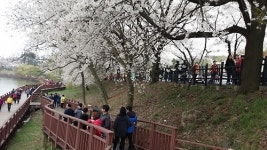 <길따라 멋따라> 도심 속 호수…군산 은파호수공원
