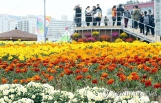 마산가고파국화축제 성황