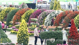 마산가고파국화축제 성황